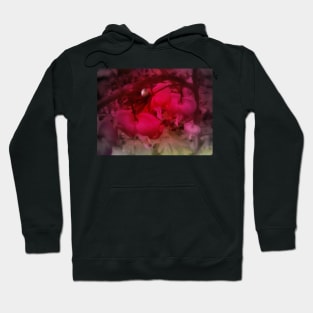 red tinted red bleeding hearts Hoodie